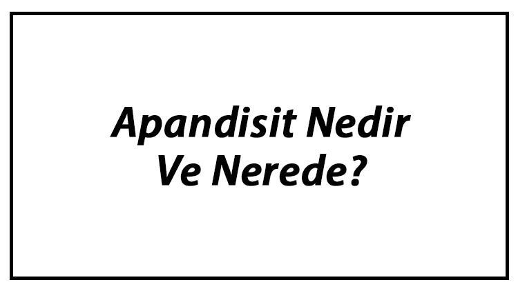 Apandisit Nedir Ve Nerede? Apandisit Ne İşe Yarar Ve Görevleri Hakkında Bilgi