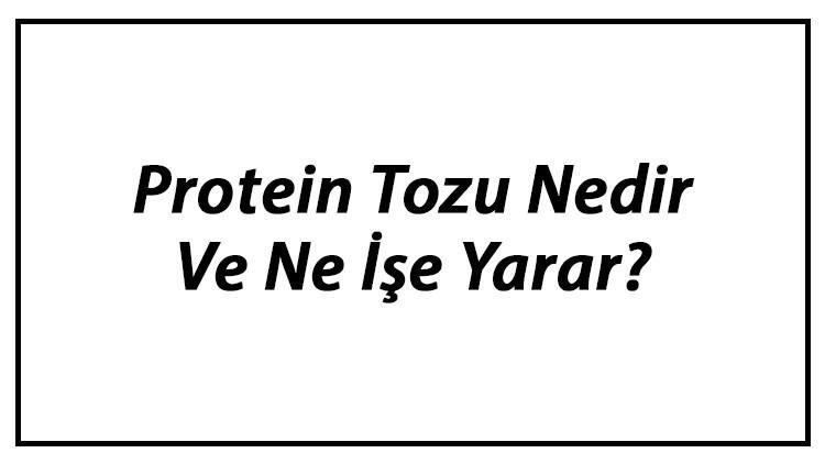 Protein Tozu Nedir Ve Ne İşe Yarar? Protein Tozu Kullanımı, Yararları Ve Zararları Hakkında Bilgi