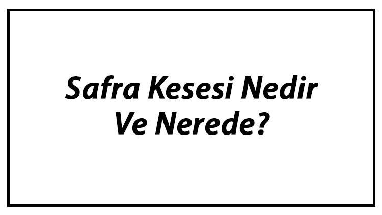 Safra Kesesi Nedir Ve Nerede? Safra Kesesi Ne İşe Yarar Ve Görevleri Hakkında Bilgi