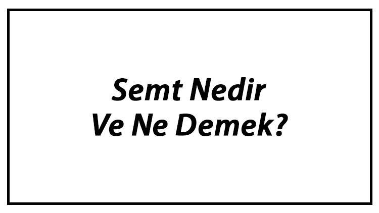 Semt Nedir Ve Ne Demek? Semt Tdk Sözlük Anlamı