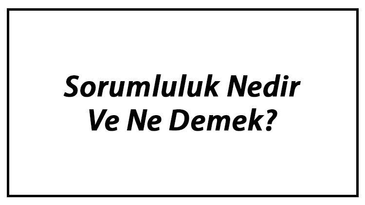 Sorumluluk Nedir Ve Ne Demek? Sorumluluk Tdk Sözlük Anlamı