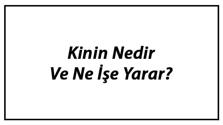 Kinin Nedir Ve Ne İşe Yarar?