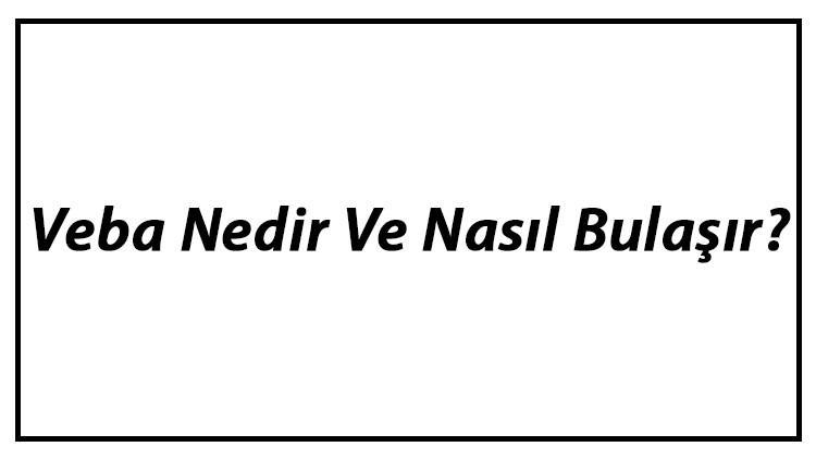 Veba Nedir Ve Nasıl Bulaşır? Veba Nedenleri, Belirtileri Ve Tedavisi