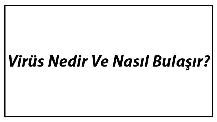 Virüs Nedir Ve Nasıl Bulaşır? Virüslerin Özellikleri Hakkında Bilgi