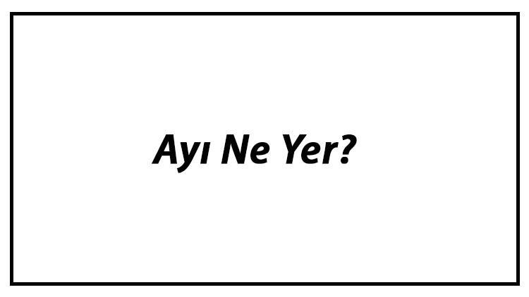 Ayı Ne Yer? Yavru Ayılar Nasıl Beslenir Ve Ayıların En Çok Sevdiği Besinler Neler