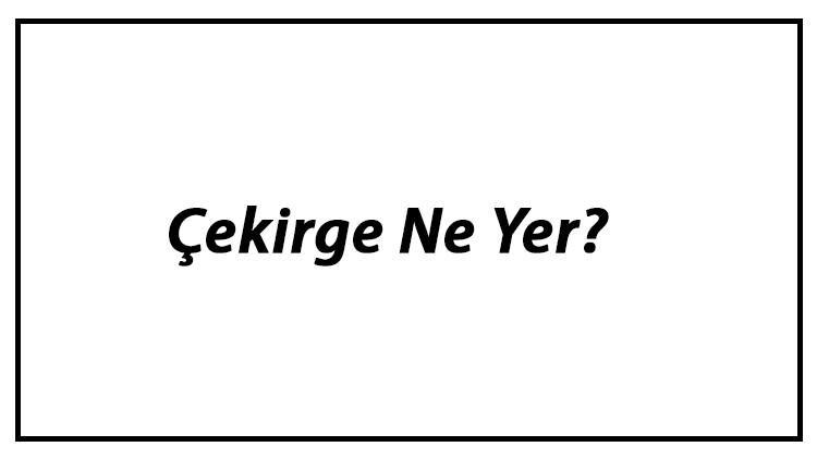 Çekirge Ne Yer? Çekirgeler Nasıl Beslenir Ve En Çok Sevdiği Besinler Neler