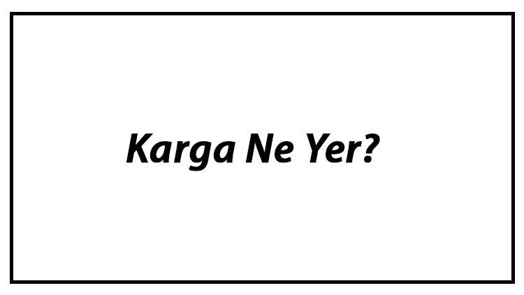 Karga Ne Yer? Yavru Kargalar Nasıl Beslenir Ve Kargaların En Çok Sevdiği Besinler Neler