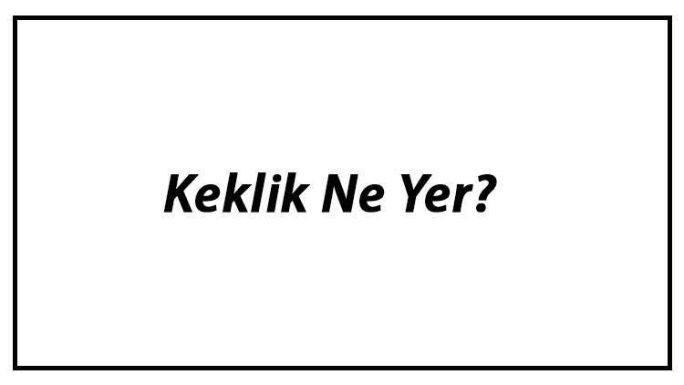 Keklik Ne Yer? Keklikler Nasıl Beslenir Ve En Çok Sevdiği Besinler Neler