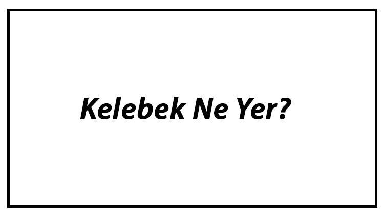 Kelebek Ne Yer? Kelebekler Nasıl Beslenir Ve En Çok Sevdiği Besinler Neler