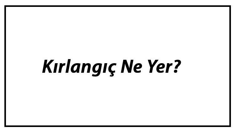 Kırlangıç Ne Yer? Yavru Kırlangıçlar Nasıl Beslenir Ve Kırlangıçların En Çok Sevdiği Besinler Neler