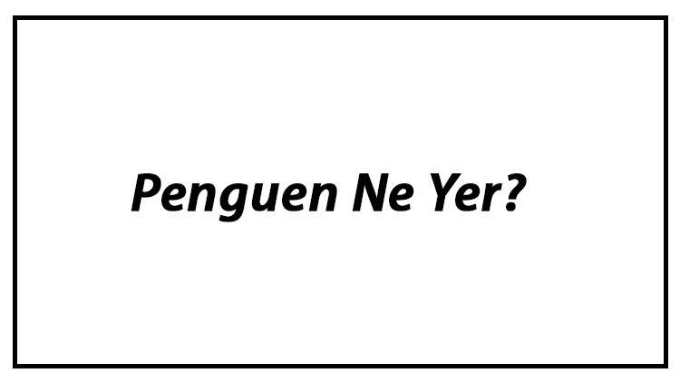Penguen Ne Yer? Penguenler Nasıl Beslenir Ve En Çok Sevdiği Besinler Neler