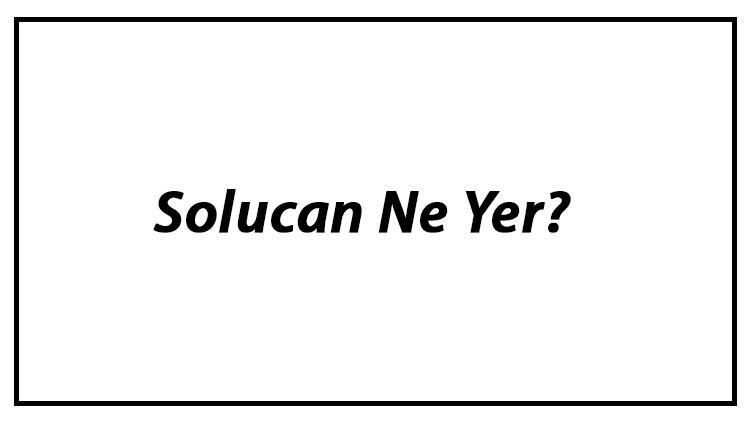 Solucan Ne Yer? Solucanlar Nasıl Beslenir Ve En Çok Sevdiği Besinler Neler