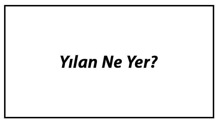 Yılan Ne Yer? Yavru Yılanlar Nasıl Beslenir Ve En Çok Sevdiği Besinler Neler