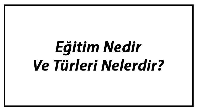 Eğitim Nedir Ve Türleri Nelerdir? Eğitimin Özellikleri, Önemi Ve Amacı Hakkında Bilgi