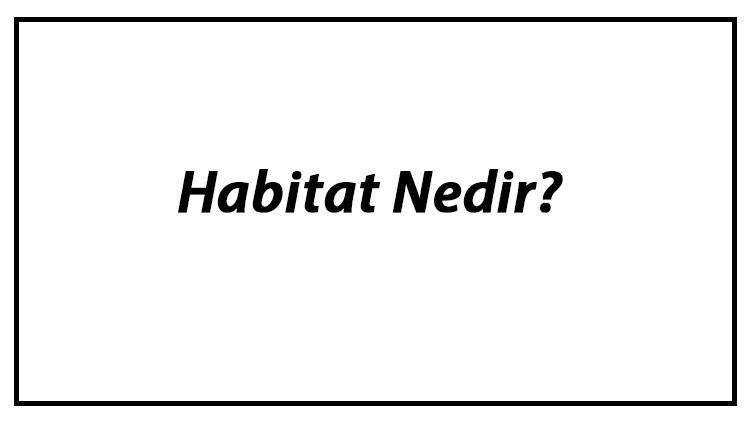 Habitat Nedir? Coğrafya'da Habitatın Kısaca Anlamı