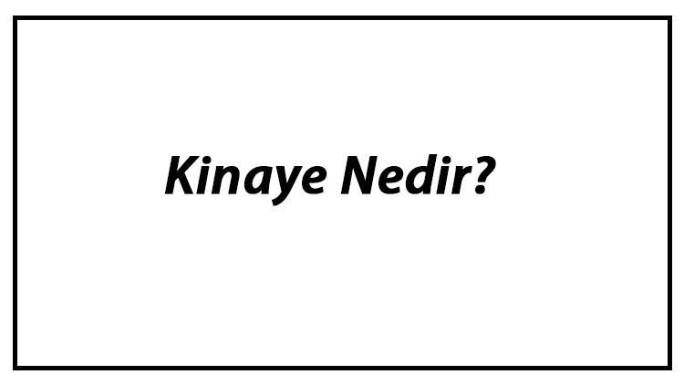 Kinaye Nedir? Kinaye Söz Sanatı Özellikleri Ve Örnekleri Hakkında Bilgi