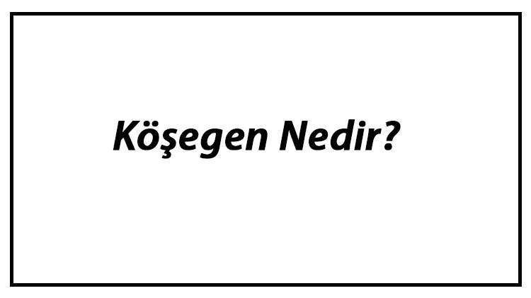 Köşegen Nedir? Çokgenin Köşegen Sayısı Nasıl Bulunur