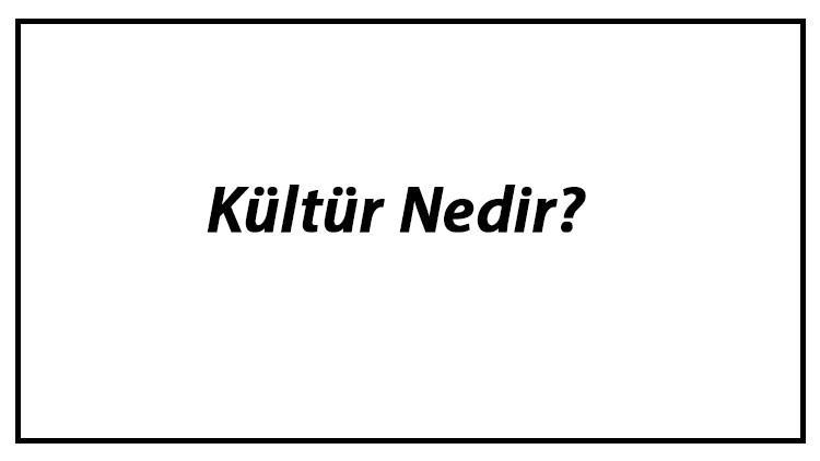 Kültür Nedir? Kültür Anlamı Ve Özellikleri