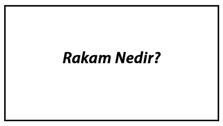 Rakam Nedir? Rakamların Kümesi Ve Sayılar İle Arasındaki Fark