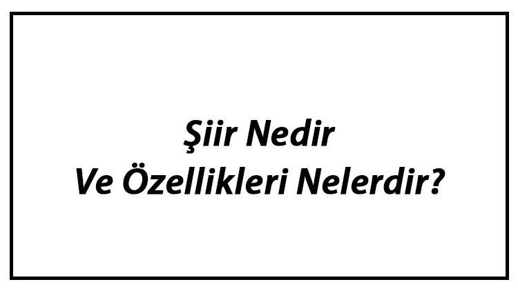 Şiir Nedir Ve Özellikleri Nelerdir? Şiir Örnekleri Ve En Sevilen Şiirler