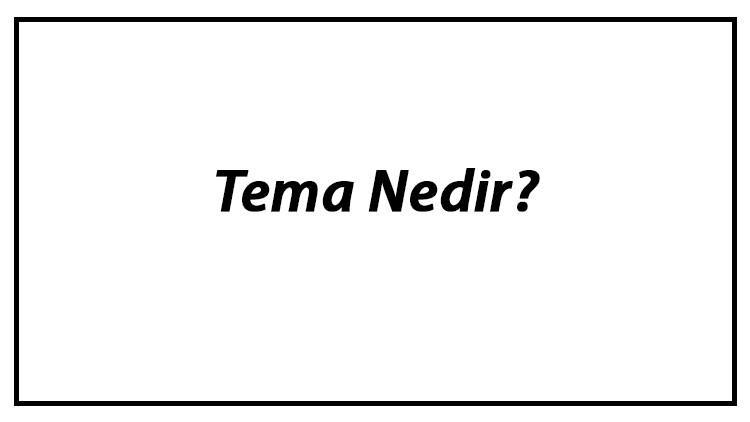 Tema Nedir? Anlatımda Tema Örnekleri Ve Özellikleri Konu Anlatımı