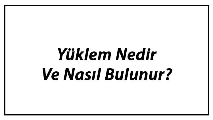 Yüklem Nedir Ve Nasıl Bulunur? Yüklem Yapısı, Türleri Ve Örnekleri Konu Anlatımı