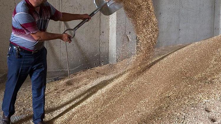 Buğday silosuna düşen işçi hayatını kaybetti