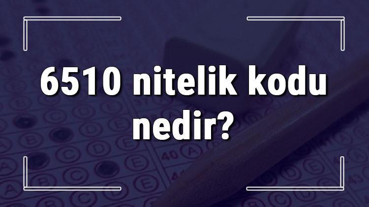 6510 nitelik kodu nedir? KPSS 6510 nitelik kodu özel şartı ne işe yarar?