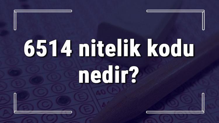 6514 nitelik kodu nedir? KPSS 6514 nitelik kodu özel şartı ne işe yarar?