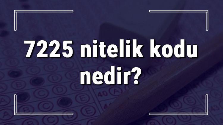 7225 nitelik kodu nedir? KPSS 7225 nitelik kodu özel şartı ne işe yarar?
