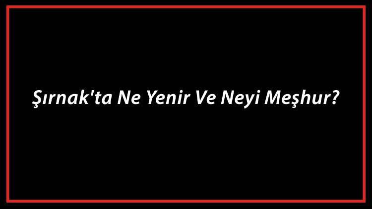Şırnak Yemekleri - Şırnak'ta Ne Yenir Ve Neyi Meşhur? Şırnak Mutfağı Yemeklerinin İsimleri Ve Listesi