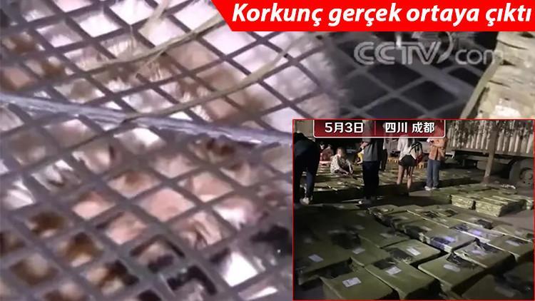 İnternetten canlı canlı satıyorlar! Çin'de 'sürpriz kutu' uygulamasına büyük tepki