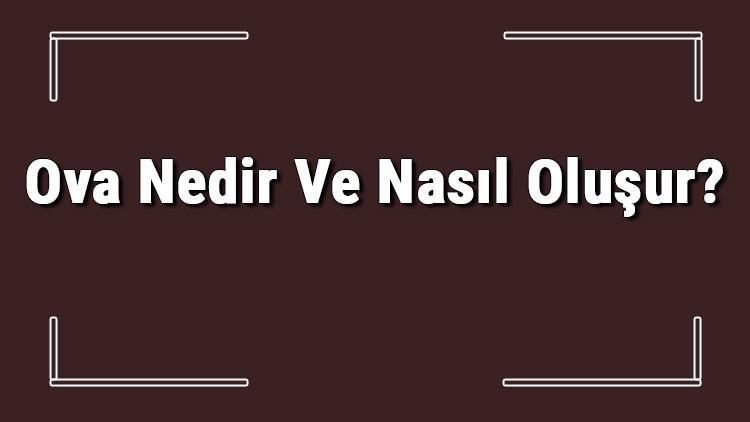 Ova Nedir Ve Nasıl Oluşur? Ova Oluşabilmesi İçin Gerekli Koşullar Ve Türkiye'deki Ovalar