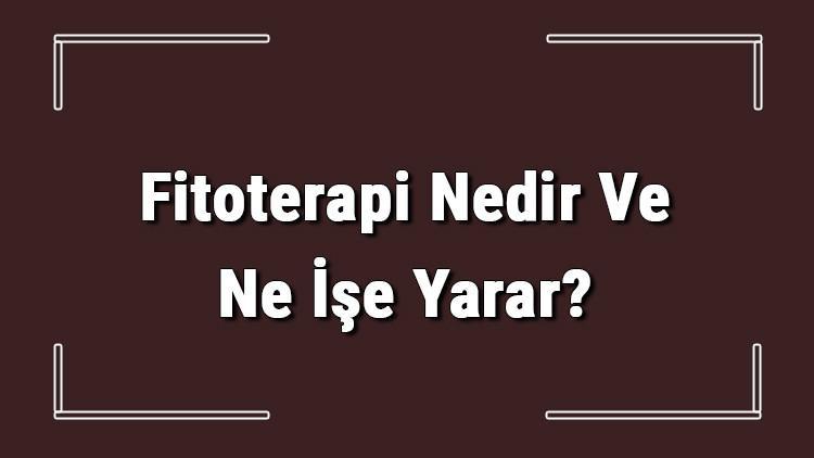 Fitoterapi Nedir Ve Ne İşe Yarar? Fitoterapi Nasıl Yapılır Ve Uygulanır