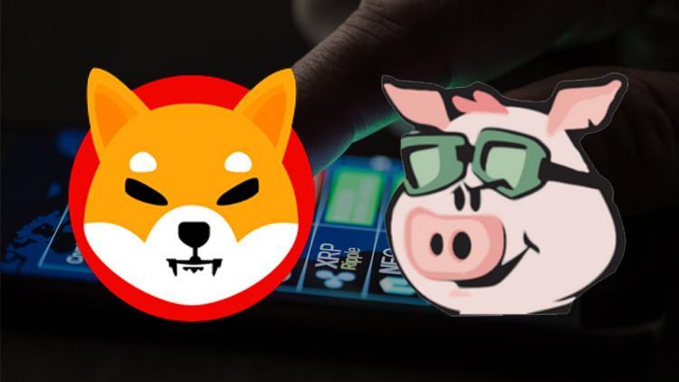 Son dakika... Kripto paralarda Shiba Inu ve Pig Finance rüzgarı