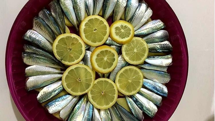 Fırında Balık (+12)