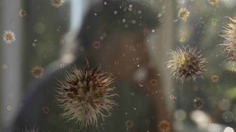 Mayıs sıkıntısı: Covid mi oldum, polen alerjisi mi