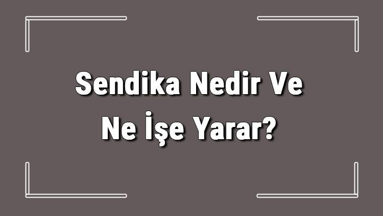 sendika nedir ve ne ise yarar sendika gorevleri hakkinda bilgi sendika nedir ve ne ise yarar sendika gorevleri hakkinda bilgi