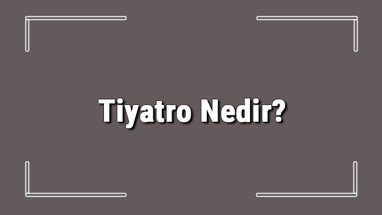 tiyatro nedir kisaca tiyatro tanimi ozellikleri ve terimleri hakkinda bilgi