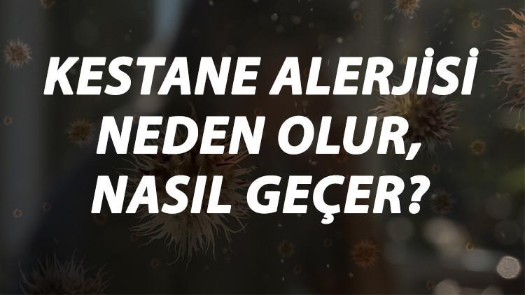 Kestane Alerjisi Nedir, Neden Olur Ve Nasıl Geçer? Kestane Alerjisi Belirtileri Ve Tedavisi Hakkında Bilgi