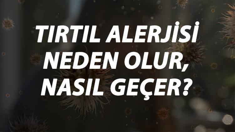 Tırtıl Alerjisi Nedir, Neden Olur Ve Nasıl Geçer? Tırtıl Alerjisi Belirtileri Ve Tedavisi Hakkında Bilgi