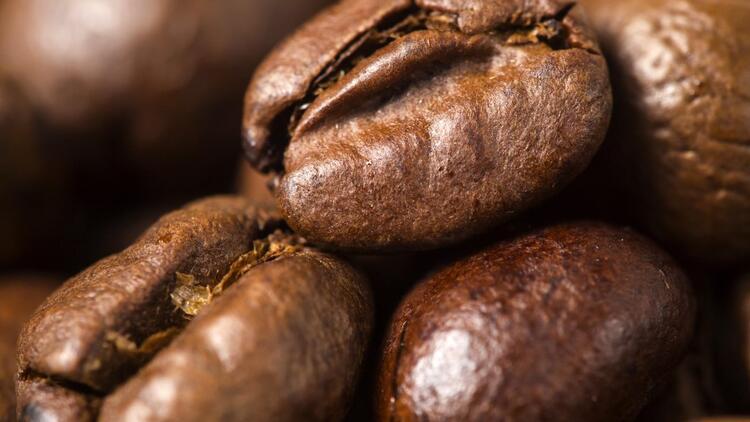 Eyvah, kahve türlerinin nesli tükeniyor Suçlu kim (Biz)