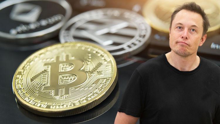 Elon Musk'ı izleyeceğim derken avlandılar! 10 milyon dolar buhar oldu