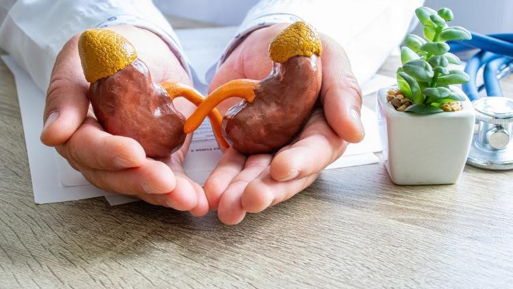 Böbrek taşı oluşumundan korunma yolları