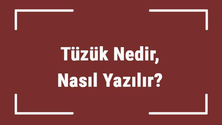 tuzuk nedir nasil yazilir tdk ya gore tuzuk kelimesi ne anlama gelir tuzuk sozluk anlami