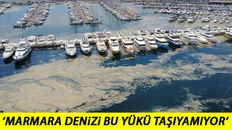 Son dakika haberi: Marmara Denizi ne zaman normale döner Prof. Dr. Mustafa Sarıdan kritik uyarı