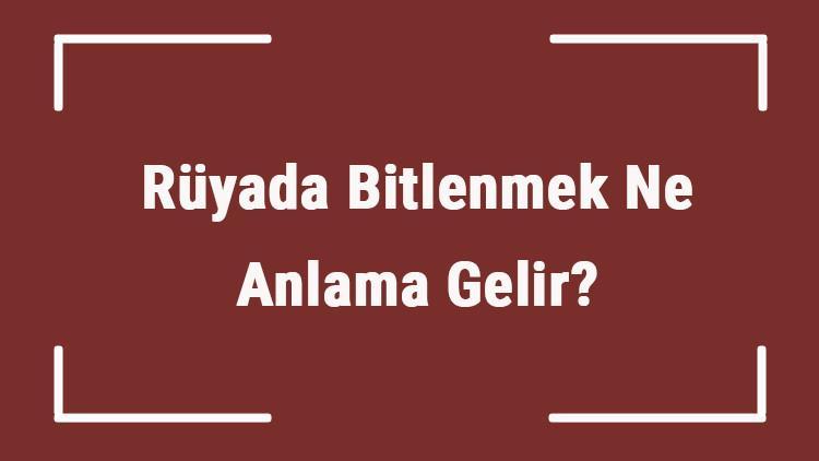 Rüyada Bitlenmek Ne Anlama Gelir? Rüyada Bitlendiğini Ya Da Bitlenmiş