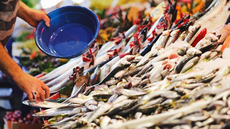 Müsilaj günlerinde balık yemek güvenli mi?