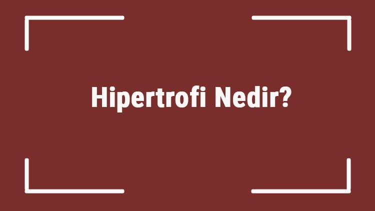 hipertrofi nedir hipertrofi antrenmani nasil olmalidir ornek antrenman programi