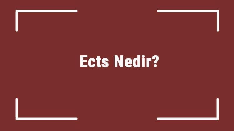 Ects Nedir? Akts Ve Ects Terimleri Aynı Mı? 1 Ects Kaç Kredi Yapar?